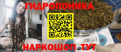 прущие грибы Краснокаменск