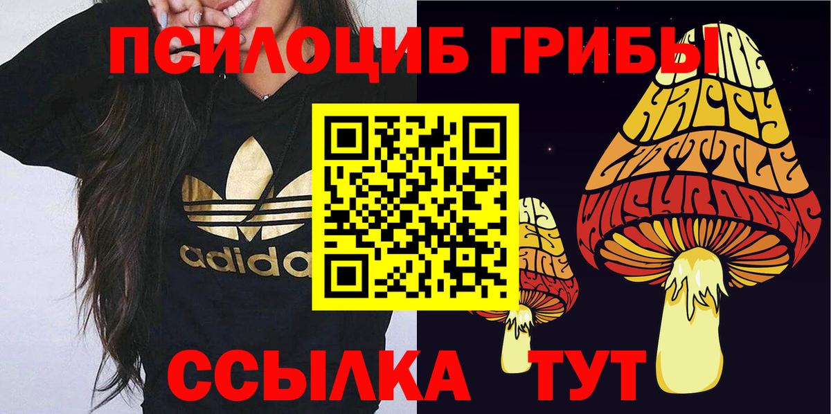 Псилоцибиновые грибы Psilocybine cubensis Железноводск