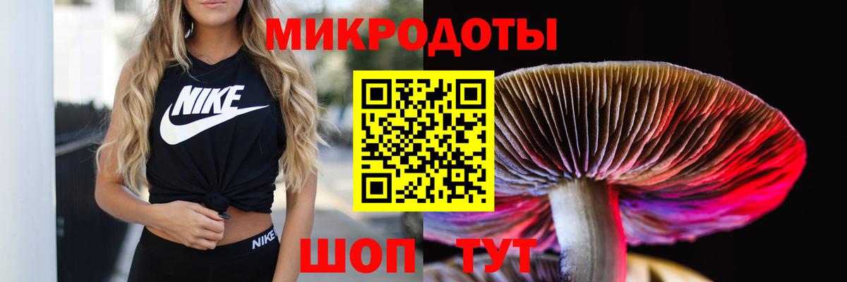 Галлюциногенные грибы GOLDEN TEACHER  Псилоцибиновые грибы MAGIC MUSHROOMS  Вход с VPN  купить закладку  Железноводск 